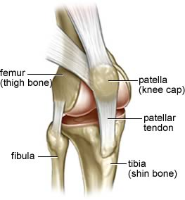 Kriza i bol u zglobovima koljena